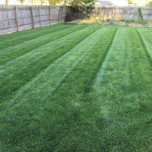 Meet your Posher, Darren